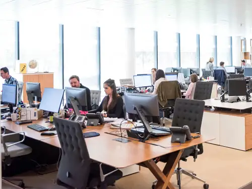 Property & Casualty Insurance