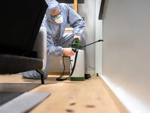 What Type of Insurance Do Pest Control Businesses Need?