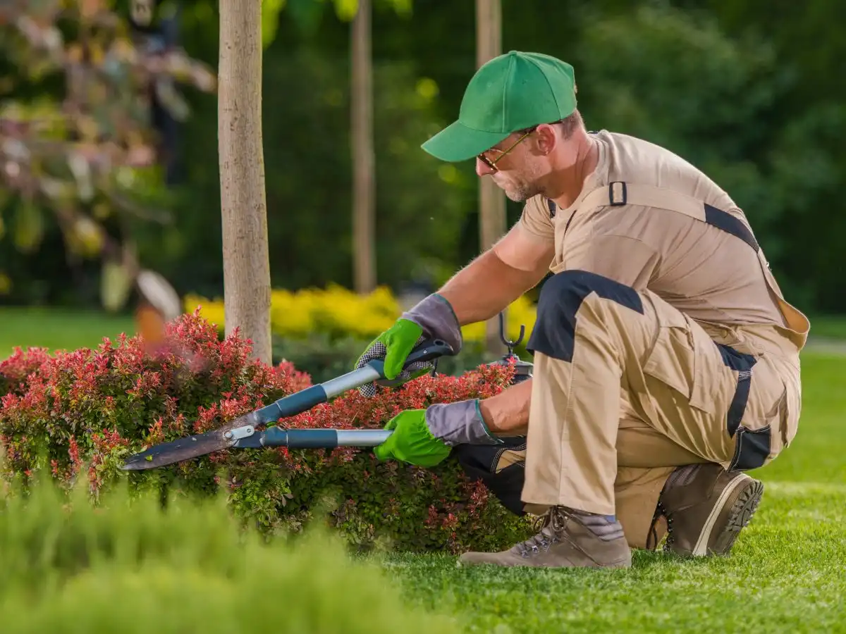 Blog Do Landscapers Need Insurance? The Answer Is Yes—Here’s Why