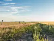 Great Falls, MT Office