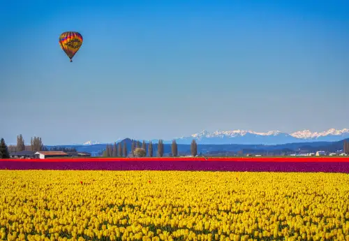 Contact Us North Cascade Insurance