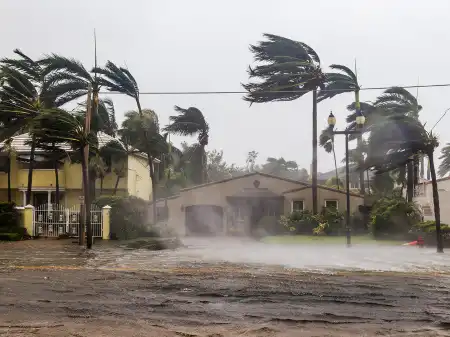 Hurricane Season Checklist: Safety First on the East Coast