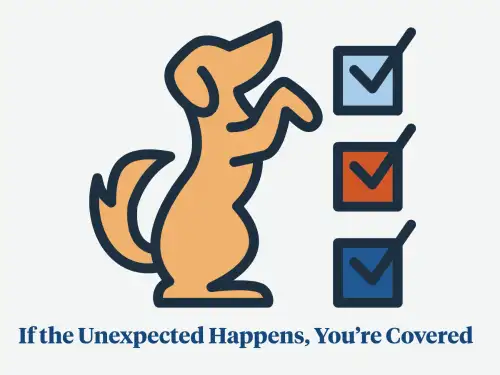 What Happens if a Dog Gets Injured During Training?