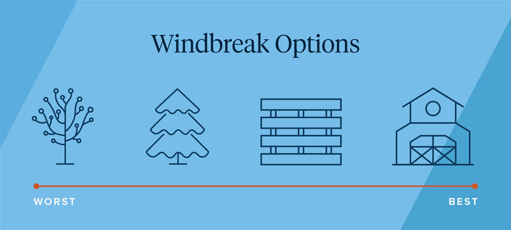 cattle windbreak insurance in montana