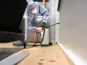 What Type of Insurance Do Pest Control Businesses Need?