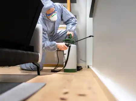 What Type of Insurance Do Pest Control Businesses Need?