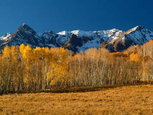 Contact Us Nebo-Leavitt Insurance