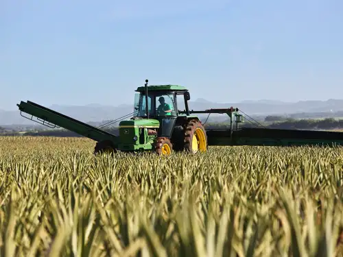 Contact Us Pacific Risk Management, Inc.