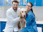 Commercial Pet Insurance