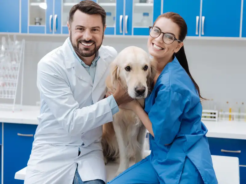 Commercial Pet Insurance