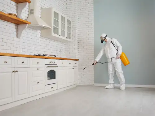 How Much Does Pest Control Business Insurance Cost?