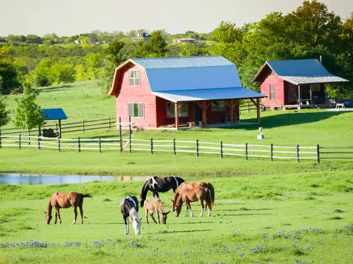 Small Farm & Ranch Insurance