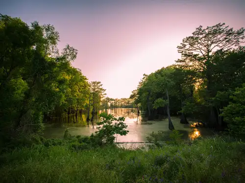 Contact Us Risk Services of Louisiana