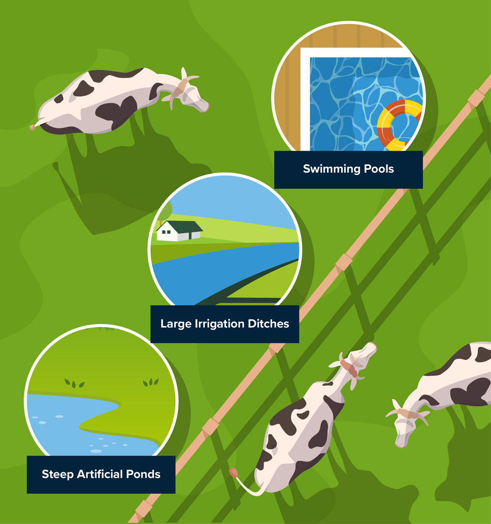 cattle insurance hazards